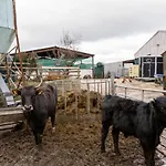 High Gregg Hall Farm *