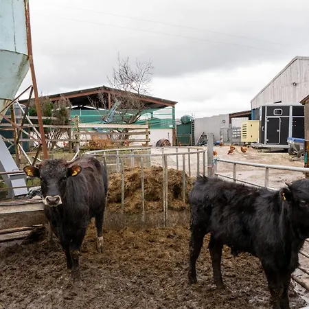 High Gregg Hall Farm *